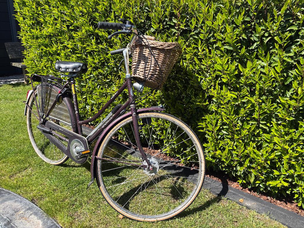 Klassieke Gazelle Superieur Damesfiets – 5 Versnellingen, Ophalen, Gebruikt, Versnellingen, 56 cm of meer