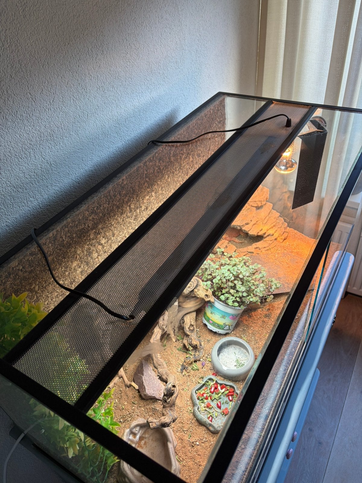 Terrarium 100x50x50, Dieren en Toebehoren, Ophalen, Zo goed als nieuw