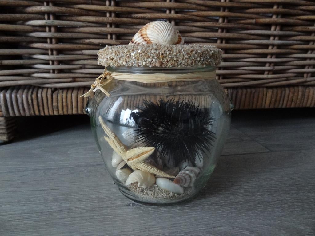 Decoratiepotje Schelpen >Snelle Verzending!<, Ophalen of Verzenden, Zo goed als nieuw, Glas