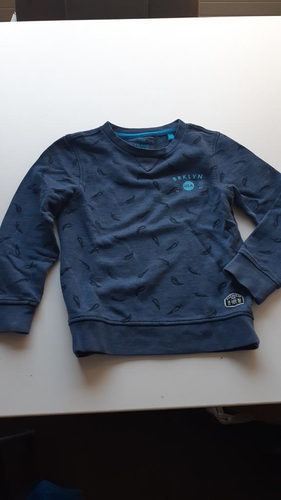 We trui maat 110/116, Gebruikt, Trui of Vest, Ophalen of Verzenden, Jongen