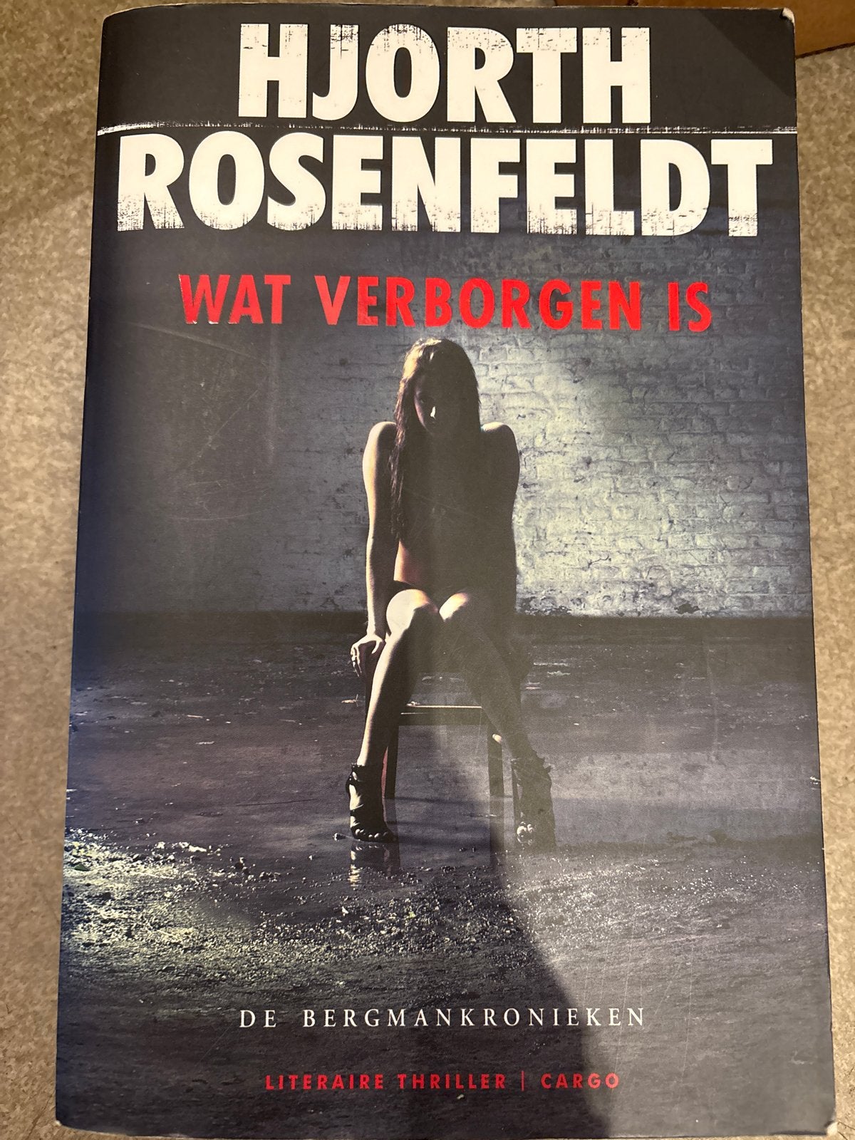 Hjorth Rosenfeldt - Wat Verborgen Is (De Bergman Kronieken), Ophalen of Verzenden, Zo goed als nieuw, Scandinavië