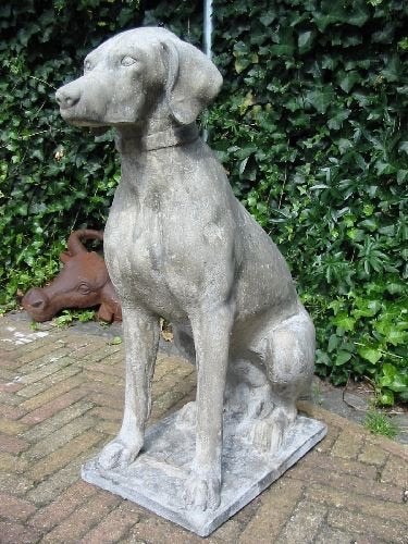 Hele mooie betonnen hond pointer., Ophalen, Nieuw, Beton, Dierenbeeld
