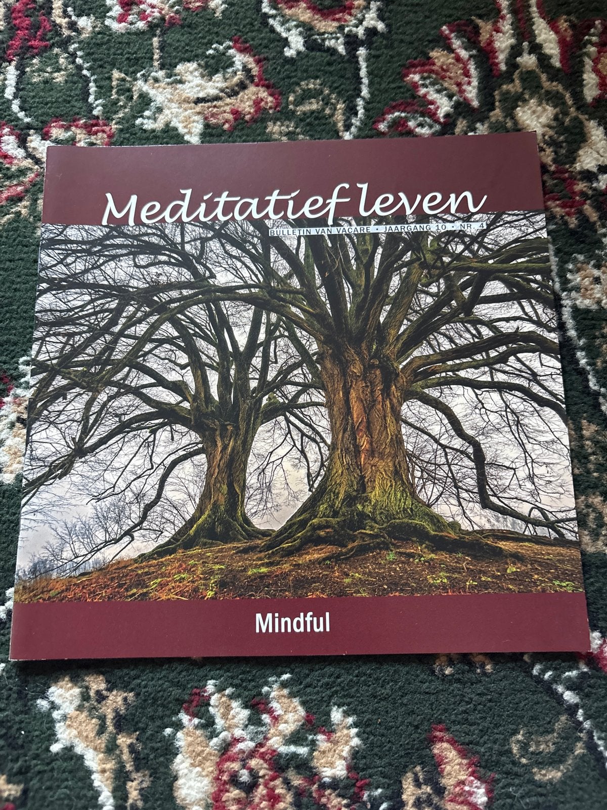 Meditatief leven - Mindful (Bulletin van Vagara), Ophalen of Verzenden, Zo goed als nieuw, Meditatie of Yoga, Achtergrond en Informatie