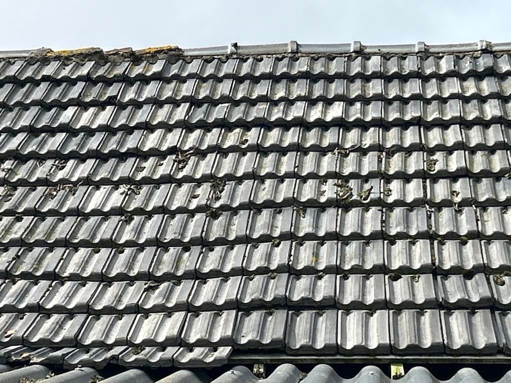 Hollandse dakpannen 50m2, vlakke Mulder/ Mulden type, J.D., Doe-het-zelf en Verbouw, Dakpannen en Dakbedekking, Ophalen, Gebruikt