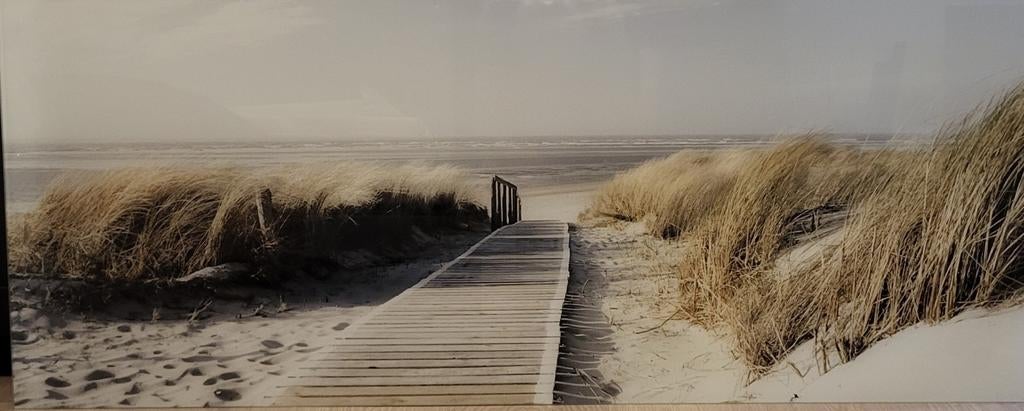 Glazen schilderij duinlandschap 125x50 cm, Ophalen, 50 tot 75 cm, 125 cm of meer, Zo goed als nieuw