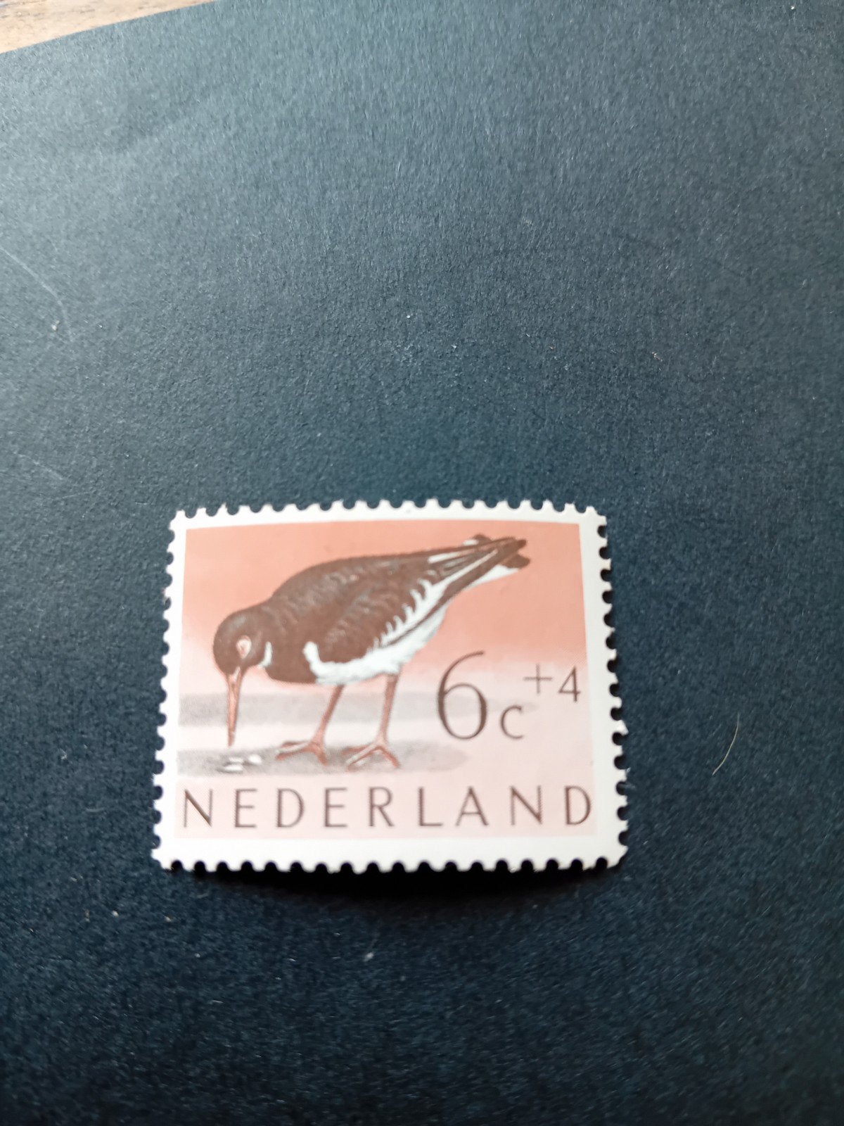 Nederlandse postzegel met vogel - 6c + 4, Postzegels en Munten, Postzegels | Nederland, Ophalen of Verzenden, Na 1940, Gestempeld