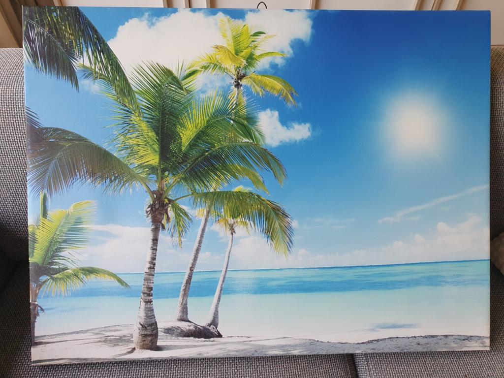 Canvas schilderij zee strand palmboom wanddecoratie 80x 60 x, Ophalen, 50 tot 75 cm, Zo goed als nieuw, 50 tot 75 cm