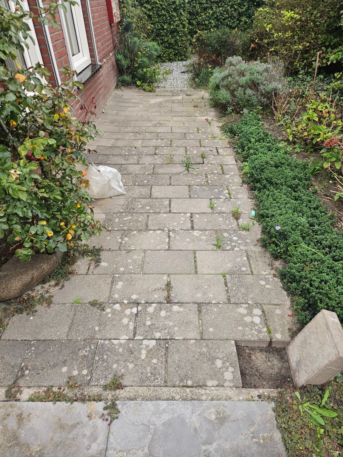 Betontegels ca 20m2, 6cm dik, Ophalen, Gebruikt, 10 m² of meer, Beton