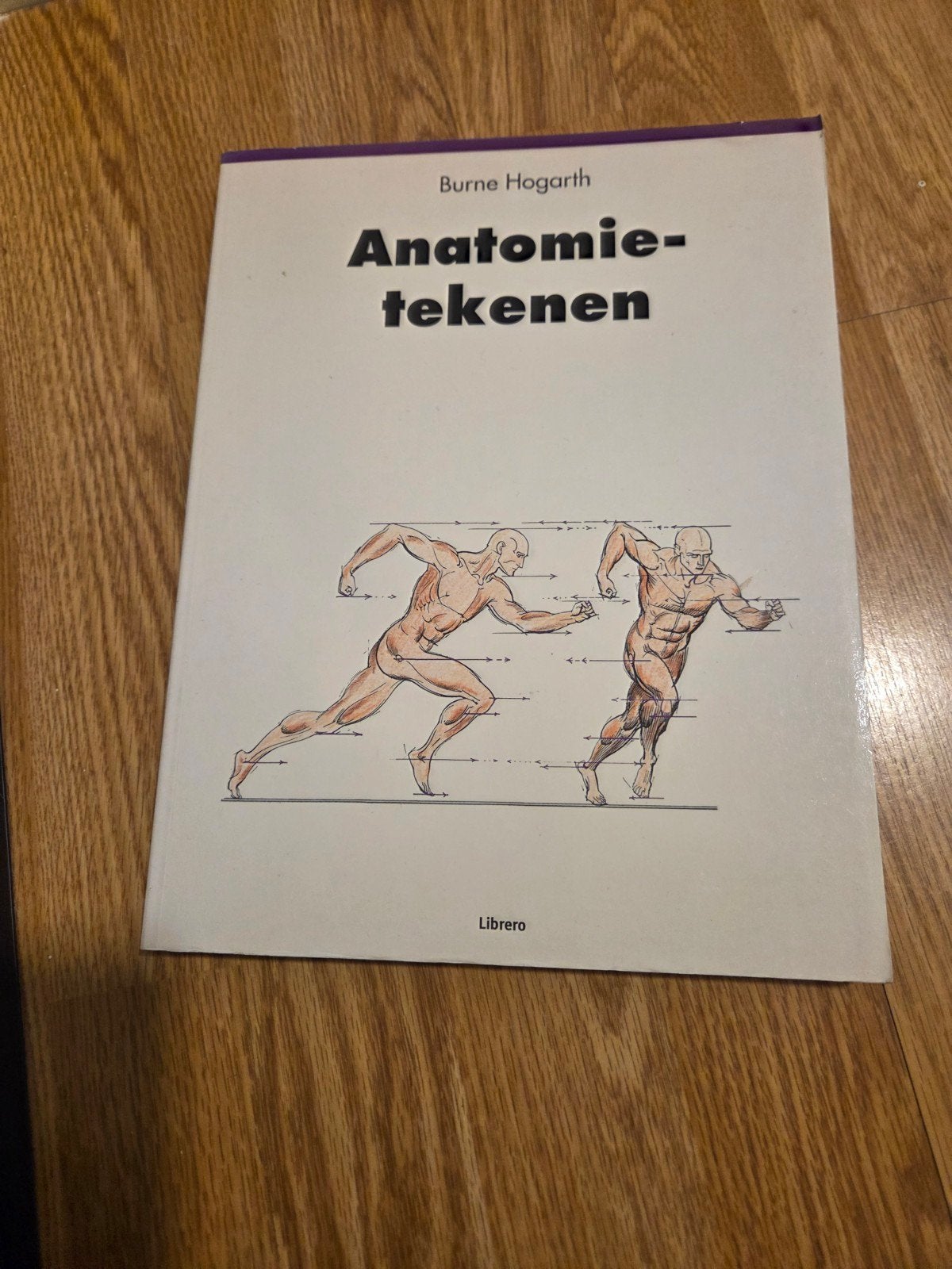 Anatomie tekenen - Burne Hogarth, Ophalen of Verzenden, Gelezen, Overige onderwerpen, Burne Hogarth