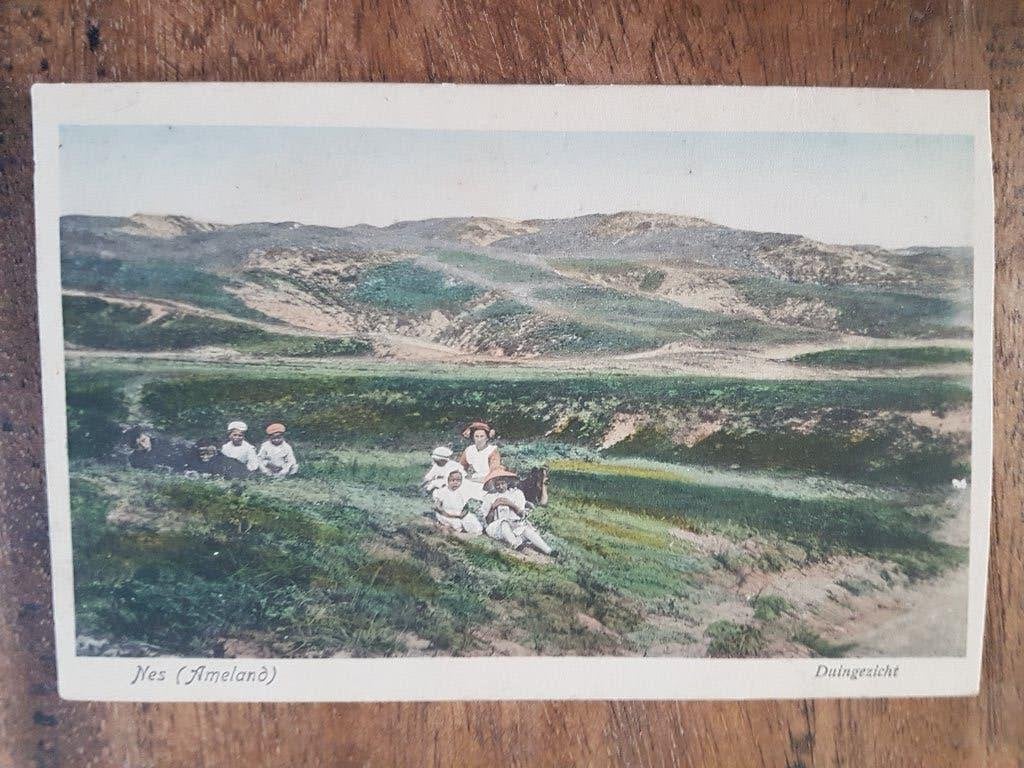 Ansichtkaart Nes Ameland Duingezicht, Ophalen of Verzenden, Voor 1920, Gelopen, Waddeneilanden