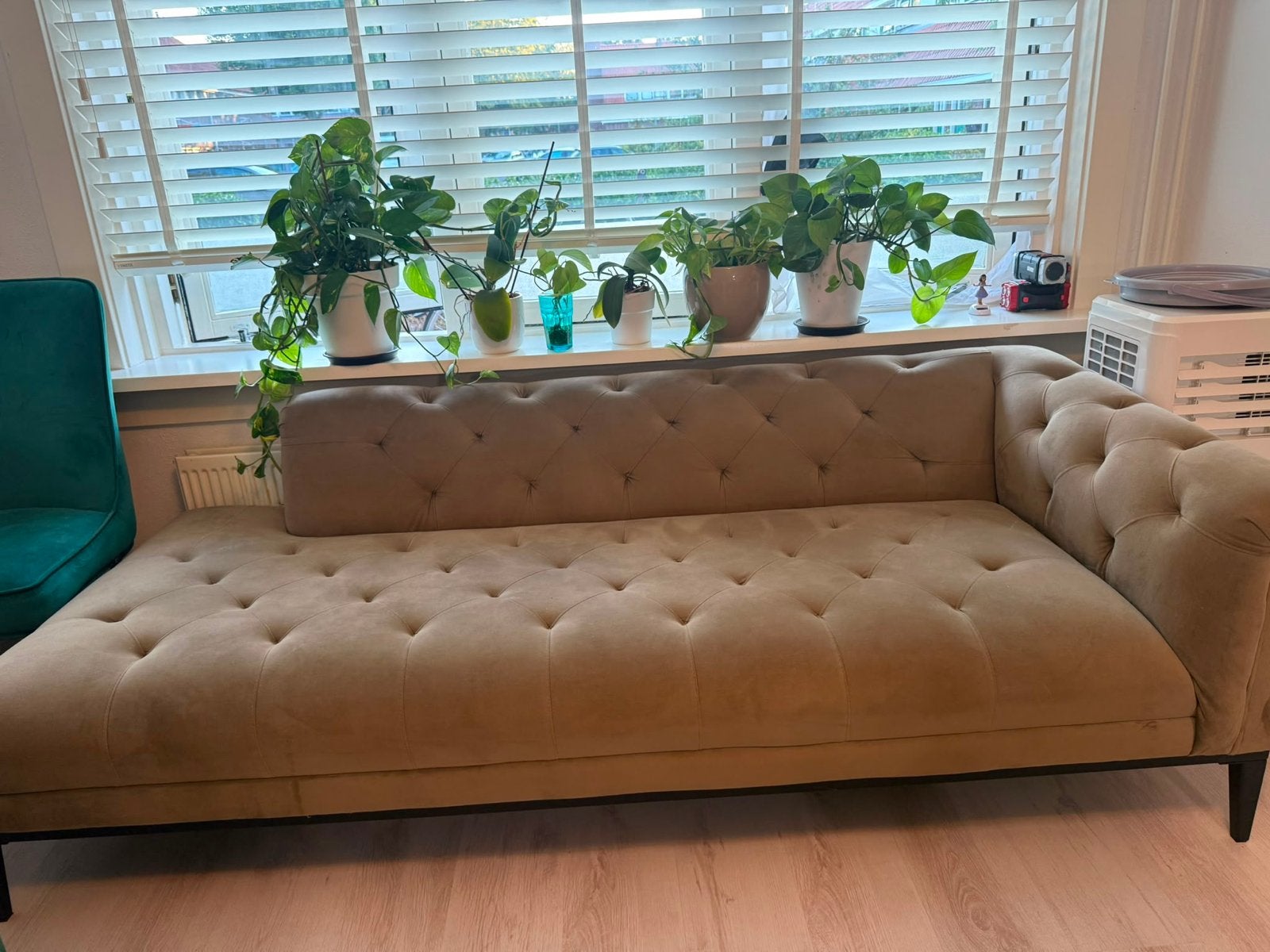 Stijlvolle fluwelen bank - Chesterfield design, Ophalen, Driepersoons, 75 tot 100 cm, Zo goed als nieuw