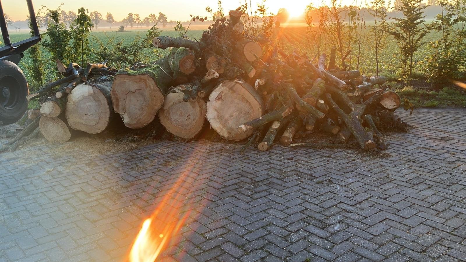 Beukenhout - stammen en takken, Tuin en Terras, 6 m³ of meer, Ophalen, Beukenhout, Stammen