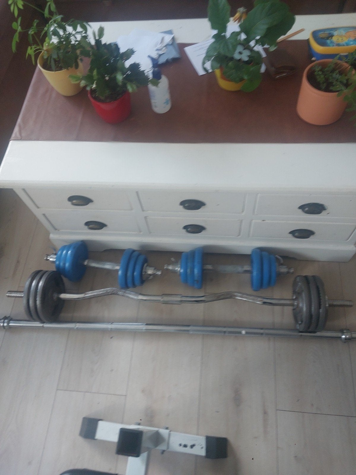Halterstang, dumbells en gewichten, Sport en Fitness, Ophalen, Krachtstation