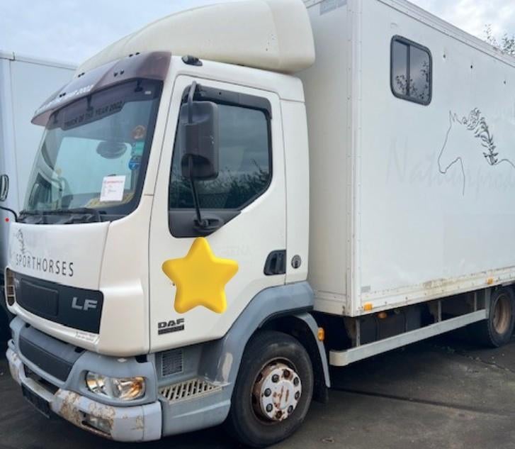 Vrachtwagens gezocht!, Auto's, Vrachtwagens, Bedrijf, Diesel, DAF, Te koop