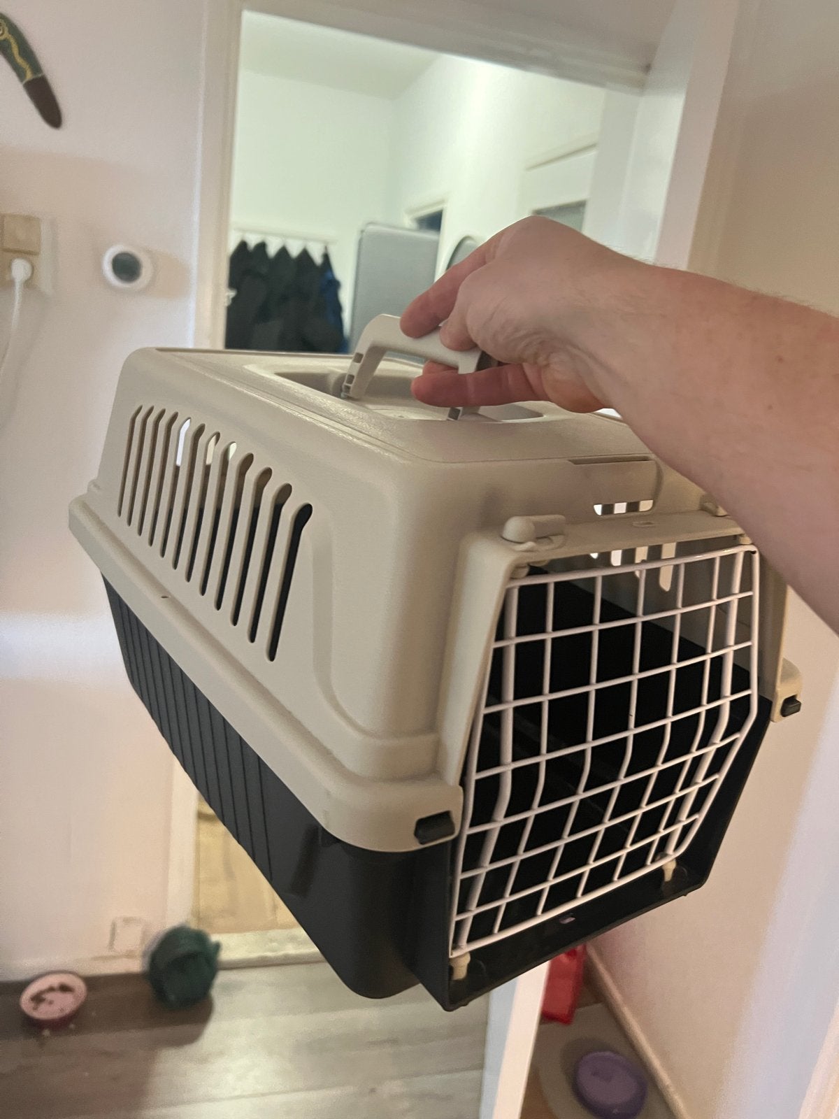 Kattenmand gratis, Dieren en Toebehoren, Transportboxen, Ophalen