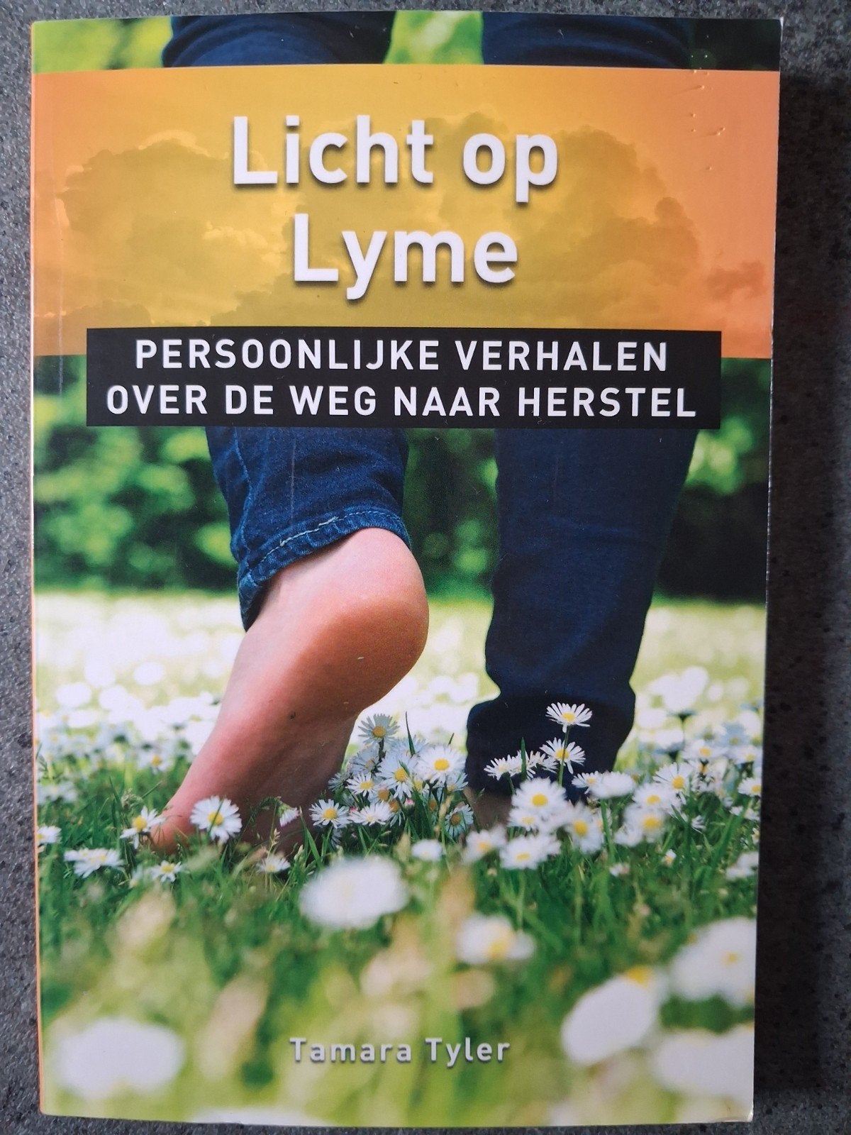Tamara Tyler - Licht op Lyme, Sociale wetenschap, Nieuw, Ophalen of Verzenden, Tamara Tyler