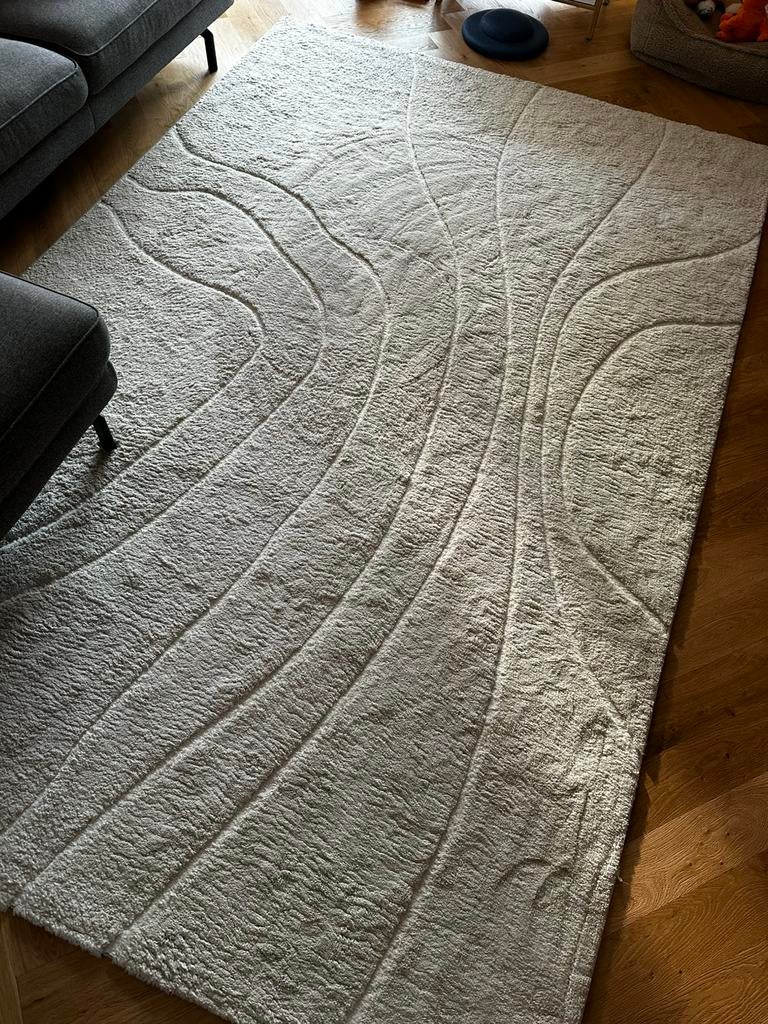 Vloerkleed 2 x 3 meter, Ophalen, Zo goed als nieuw, Rechthoekig, 200 cm of meer