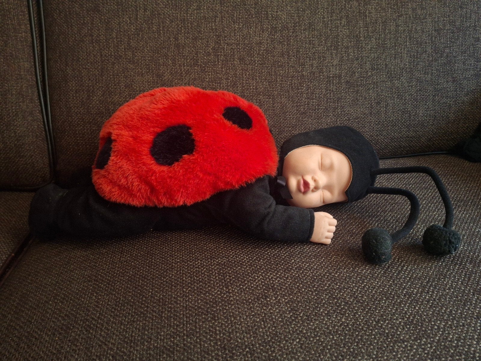 lieveheersbeestje baby van Anne Geddes groot, Verzamelen, Poppen, Ophalen of Verzenden, Zo goed als nieuw, Pop