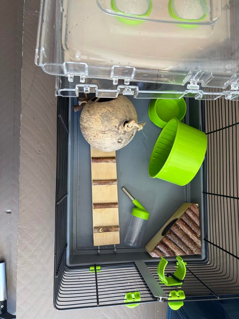 hamsterkooi met toebehoren, Dieren en Toebehoren, Ophalen of Verzenden, Zo goed als nieuw, Loopwiel of Rad