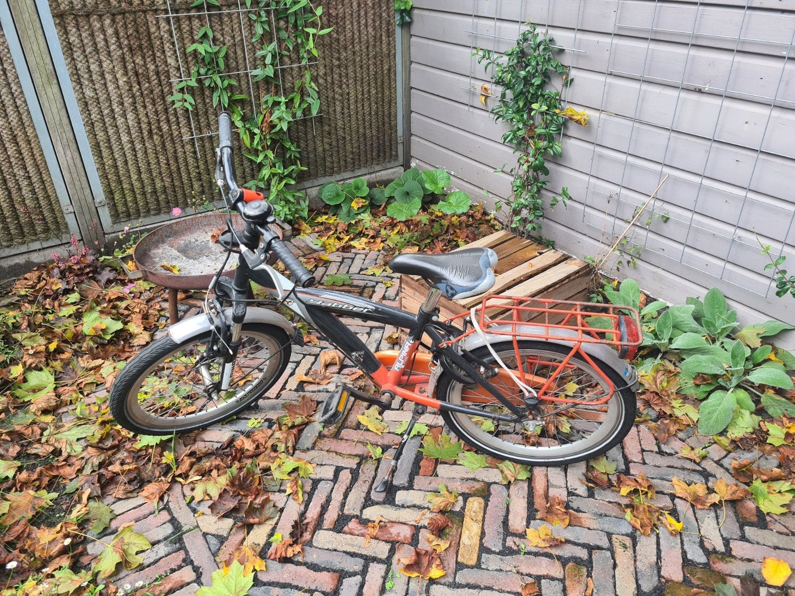 Kinderfiets 20 inch - Gebruikt maar in goede staat, Ophalen, Terugtraprem, Alpina, 16 tot 20 inch