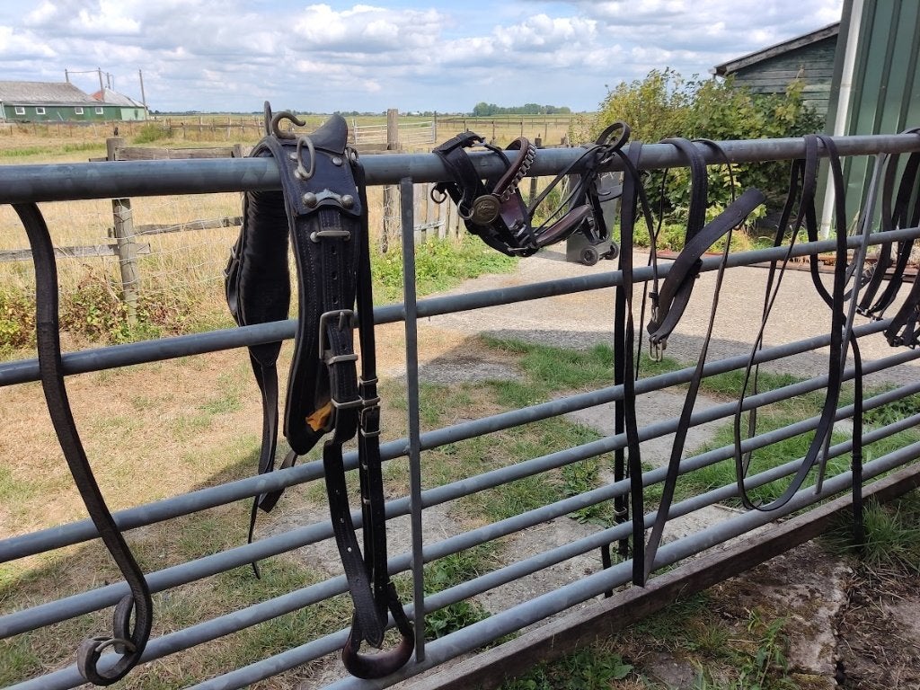 compleet men tuig, Dieren en Toebehoren, Paarden en Pony's | Hoofdstellen en Tuigage, Ophalen, Gebruikt, Mentuig