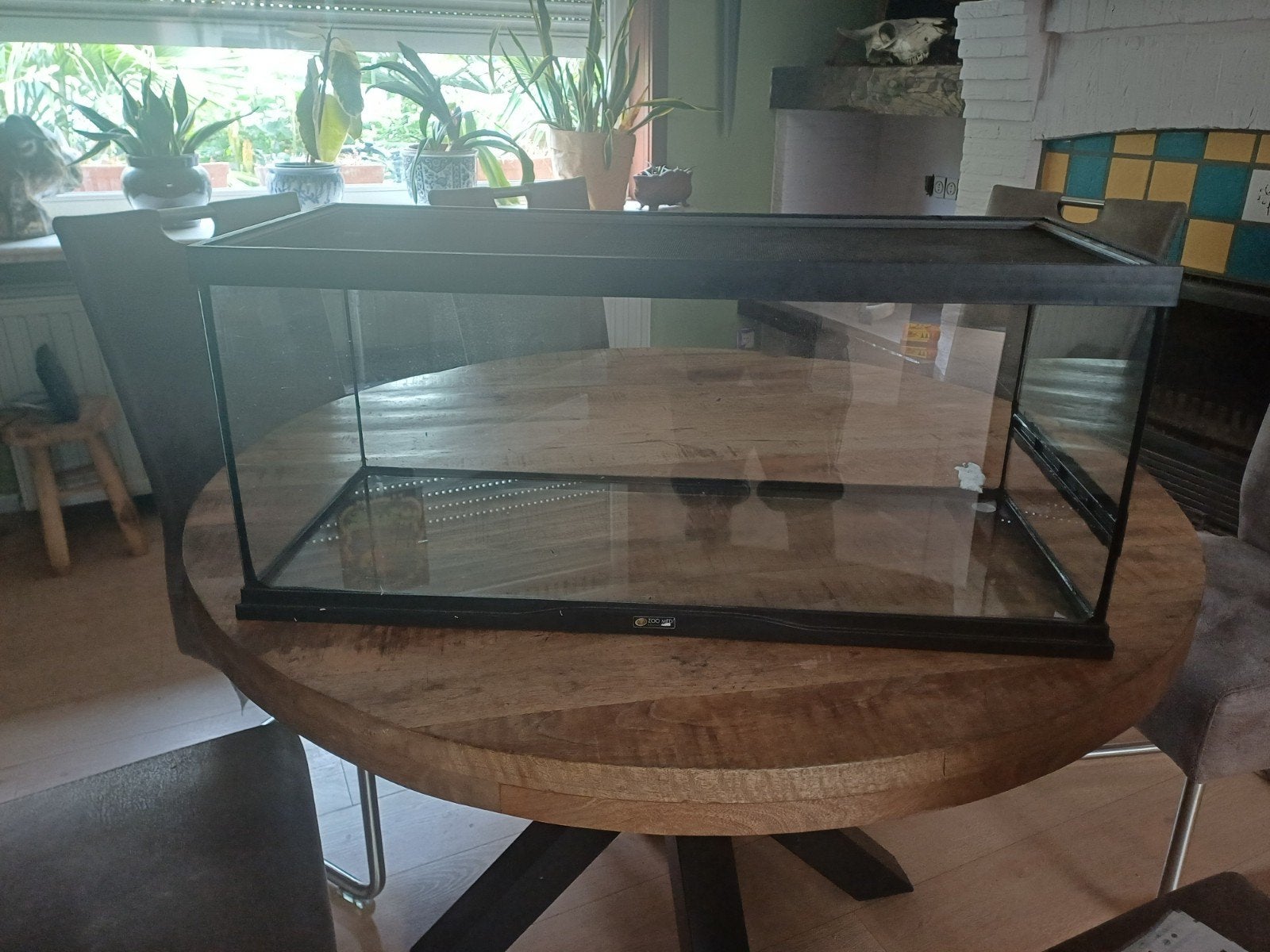 Terrarium voor reptielen, Ophalen of Verzenden, 75 tot 110 cm, Hok, Minder dan 60 cm