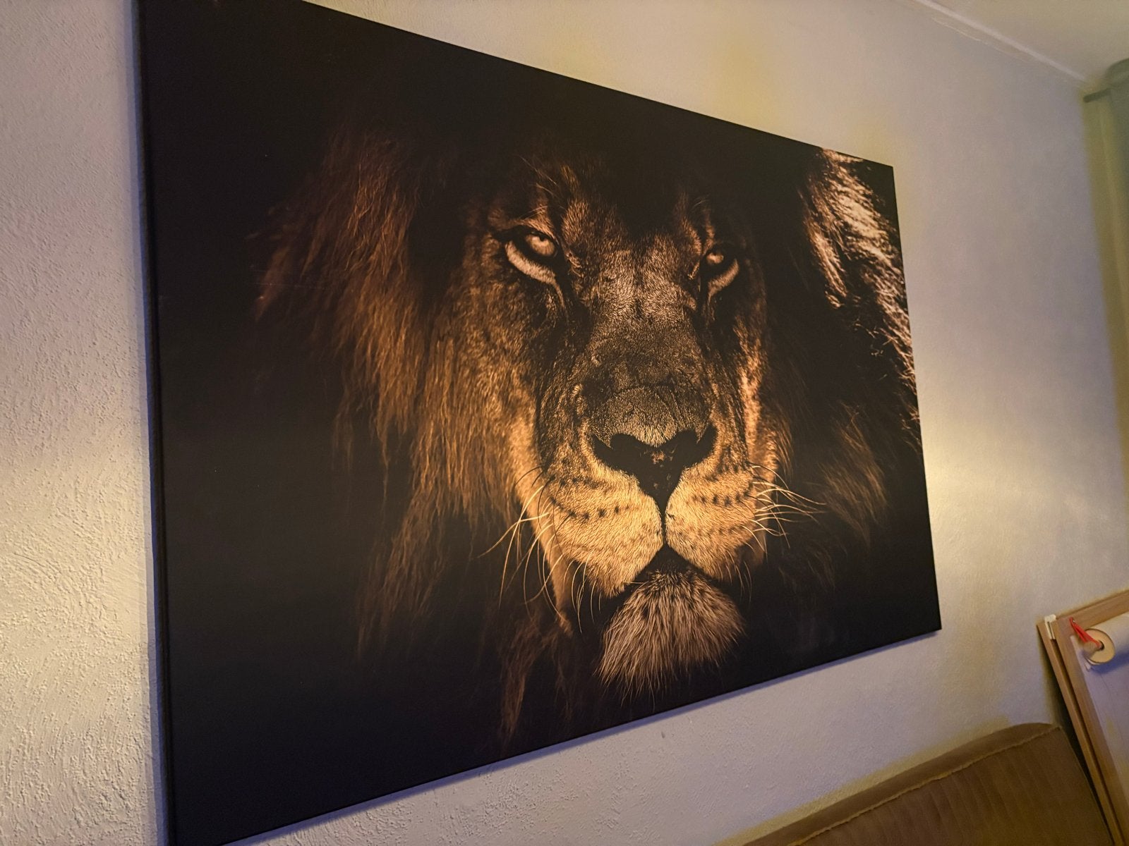 Groot canvas schilderij leeuw, Ophalen, Dieren, Print, Op houten frame