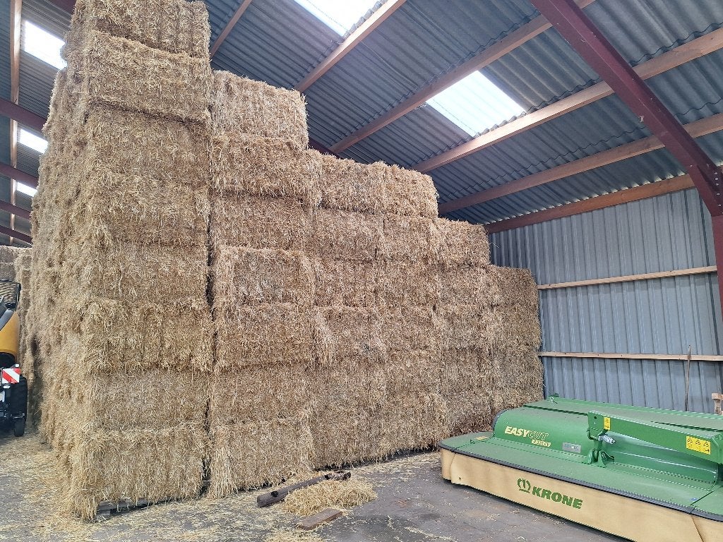 Te koop 1e kwaliteit gerste stro, Zakelijke goederen, Ophalen of Verzenden