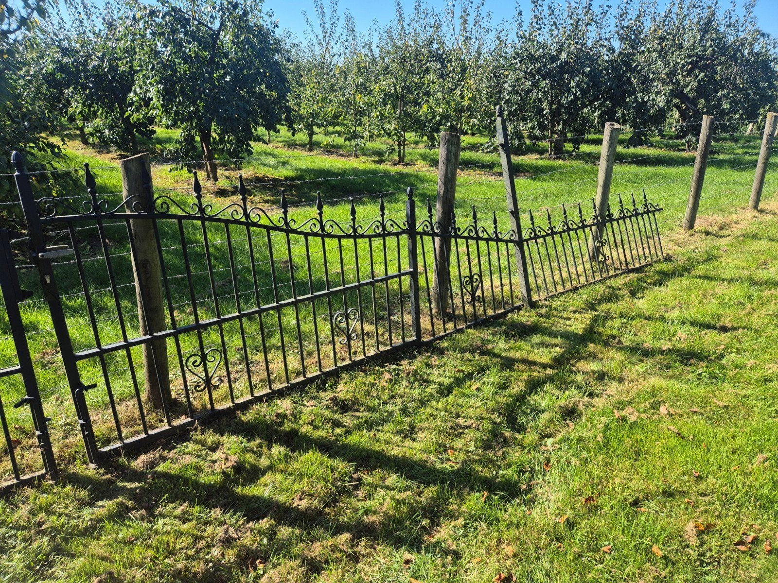 ijzeren hek poort, Tuin en Terras, Ophalen, Met poort, Gebruikt, Sierhekwerk