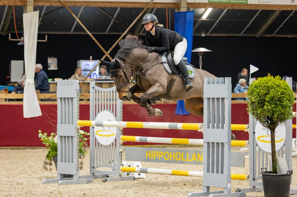 8 jarige merrie (v. Etoulon), Dieren en Toebehoren, Paarden, Merrie, Springpaard, L, 7 tot 10 jaar