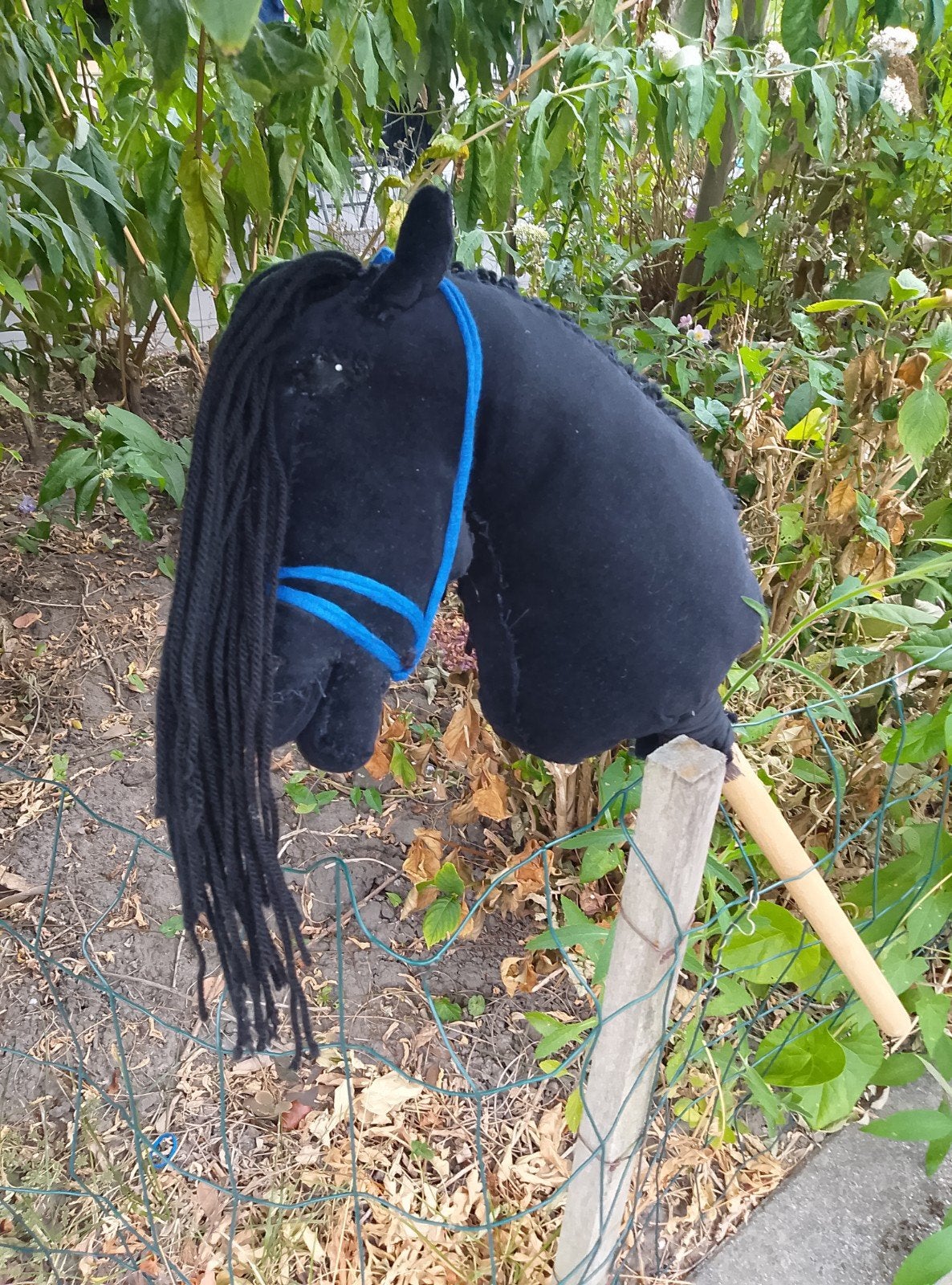 hobby horse, Ophalen, Zo goed als nieuw, Jongen of Meisje