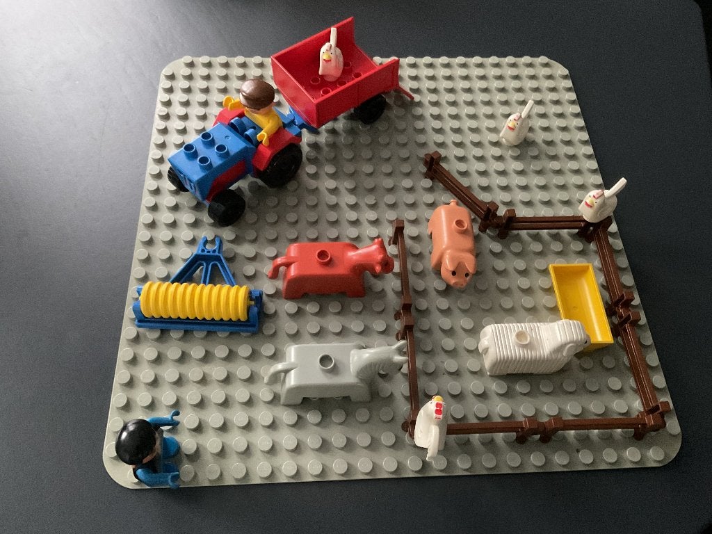 duplo, Ophalen of Verzenden, Gebruikt, Duplo