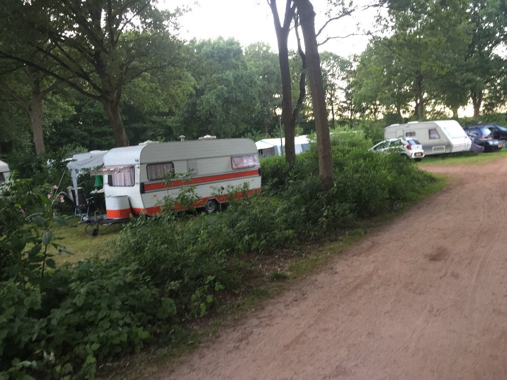 Eind Augustus kip tekoop ivm aan schaf andere kip, Ophalen, Gebruikt