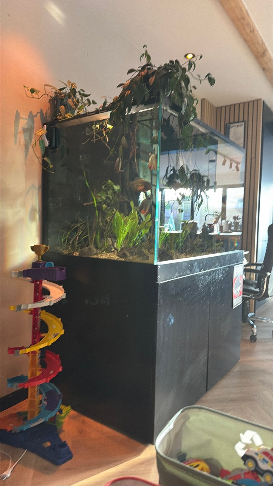 Uniek groot aquarium (maatwerk) compleet met techniek, Dieren en Toebehoren, Ophalen, Inclusief vissen, Gevuld zoetwateraquarium