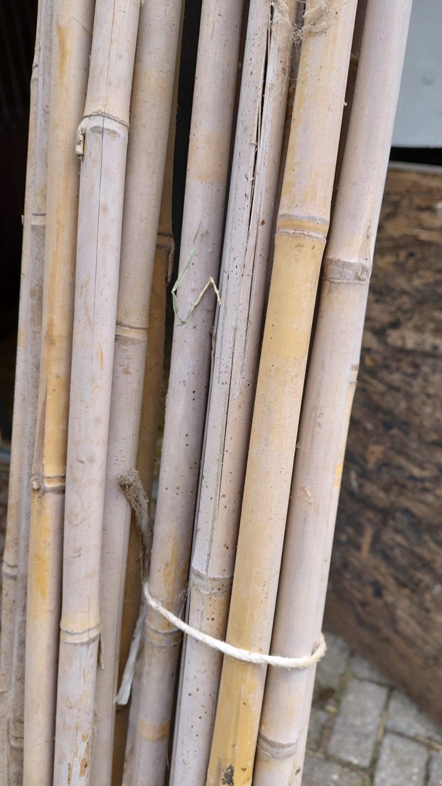 18 Bamboe palen ca. 2,7 - 3 meter lang, Ophalen, Gebruikt, 250 cm of meer, Palen