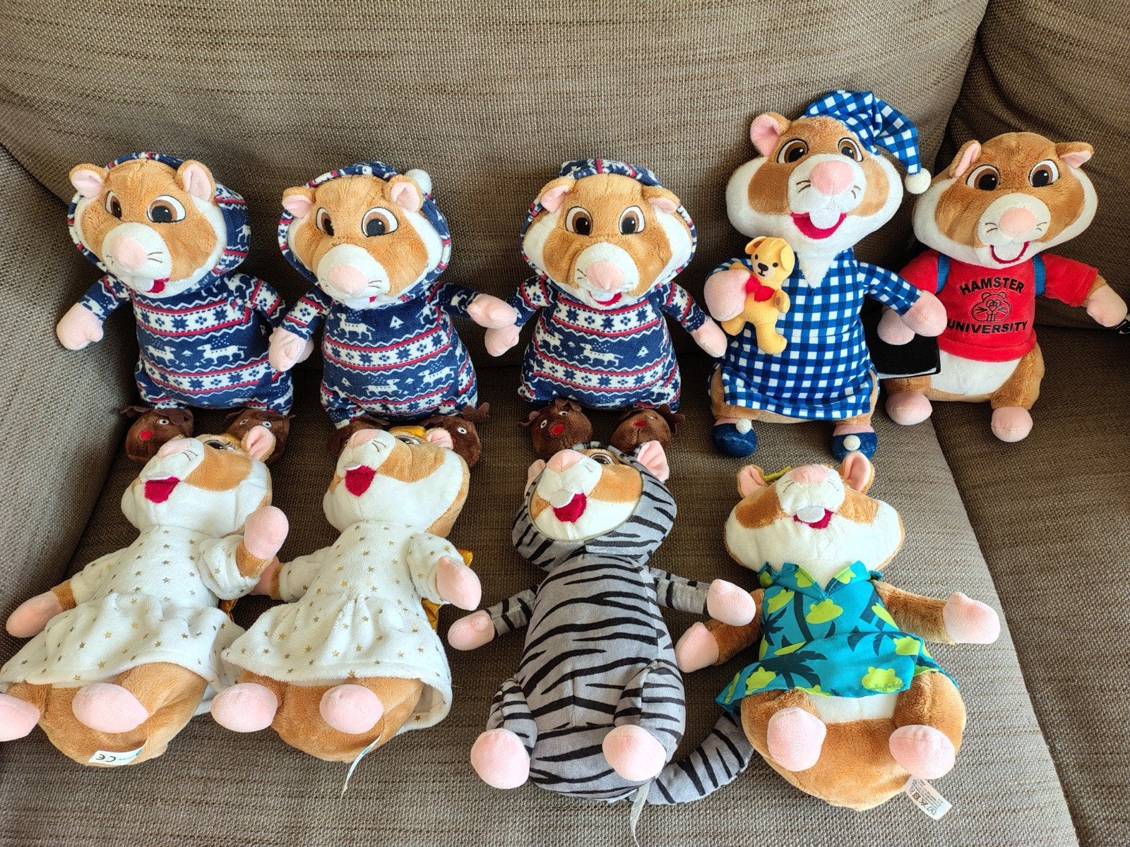 Albert Heijn hamsters kerst kat slapen universiteit vakantie, Ophalen, Overige typen, Zo goed als nieuw, Middelgroot (20 tot 80 cm)