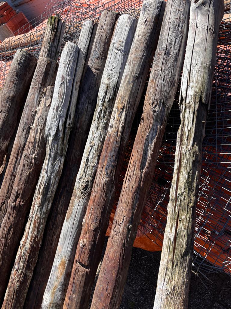 45 gebruikte weidepalen, 2/3 meter, behandeld, Ophalen, Gebruikt, 250 cm of meer, Palen