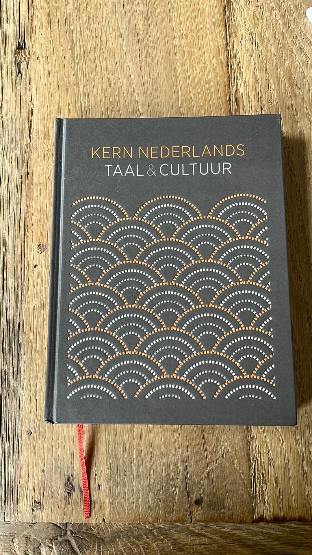 KERN Nederlands - Taal & Cultuur - Handboek VWO, Ophalen, Zo goed als nieuw, VWO, Nederlands