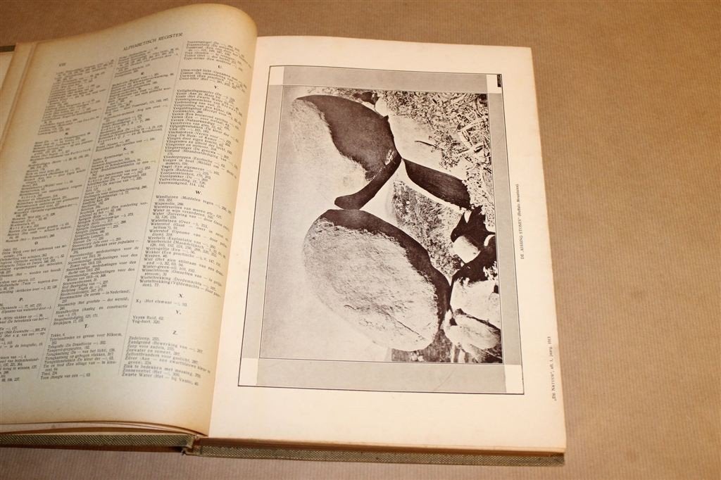 De Natuur — Complete Jaargang 1913, Ophalen of Verzenden