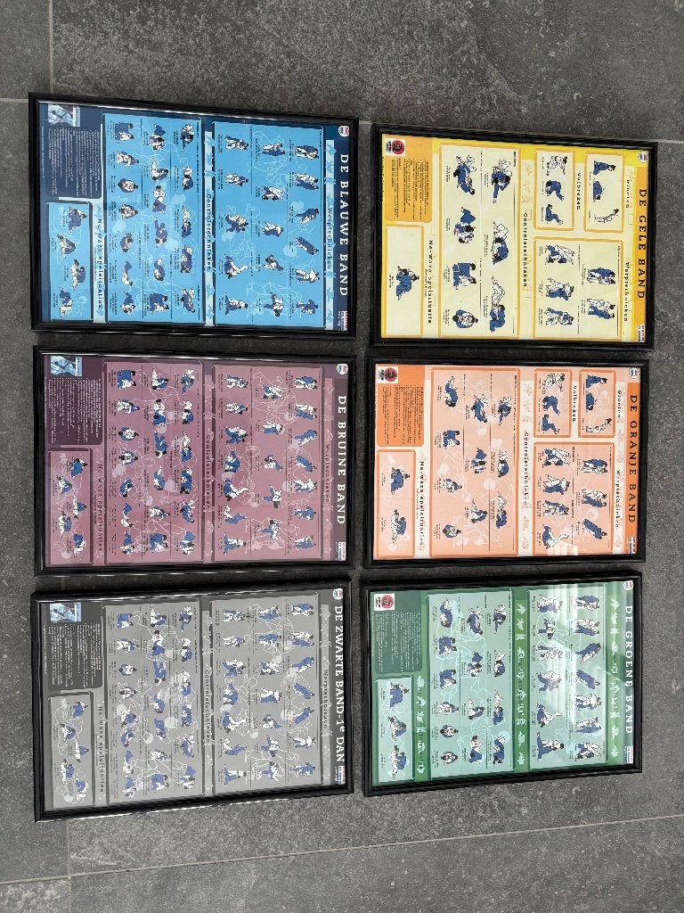 Judo posters, Maat XS of kleiner, Ophalen of Verzenden, Gebruikt, Judo