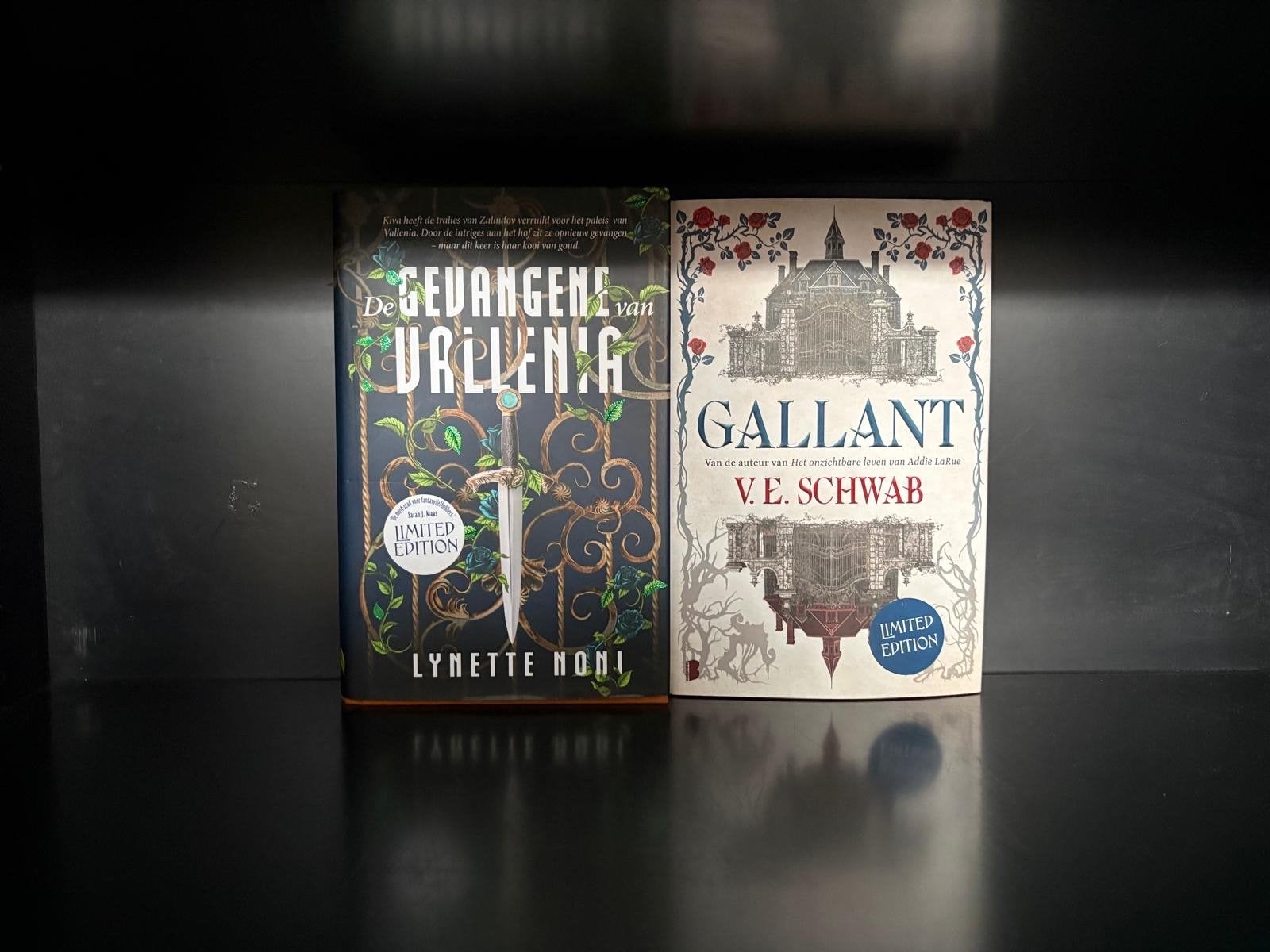 Fantasy boeken: De Gevangene van Vallen en Gallant, Boeken, Ophalen of Verzenden, Zo goed als nieuw