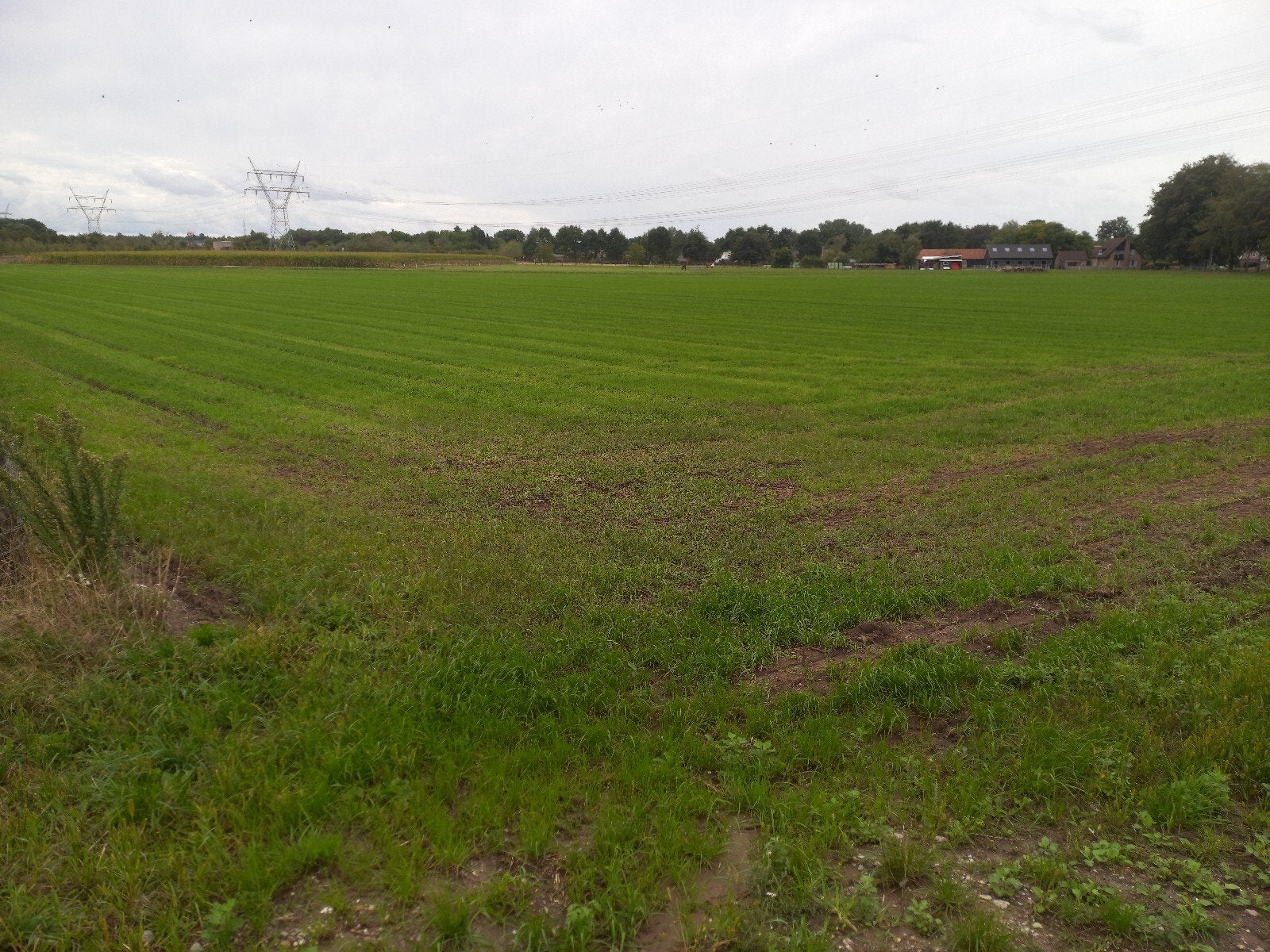 weiland grasland bouwland landbouwgrond