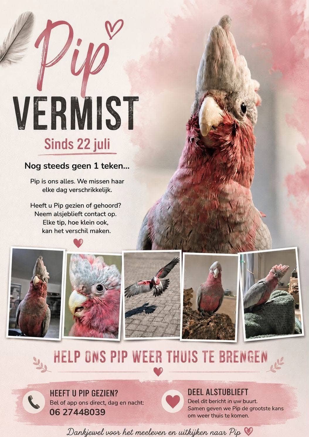pip vermist/gestolen sinds 22-7