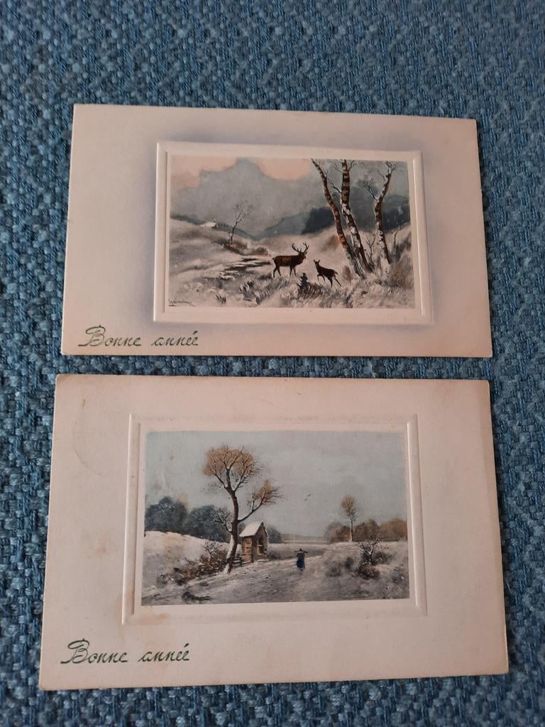 2 Oude Nieuwjaarskaarten 'Bonne année' - Prima Staat, Verzamelen, Ophalen of Verzenden, Voor 1920, Gelopen, België en Luxemburg
