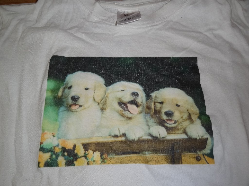 shirt met 3 jonge labrador puppies mt 146/152, Ophalen of Verzenden, Gebruikt, Meisje, Shirt of Longsleeve