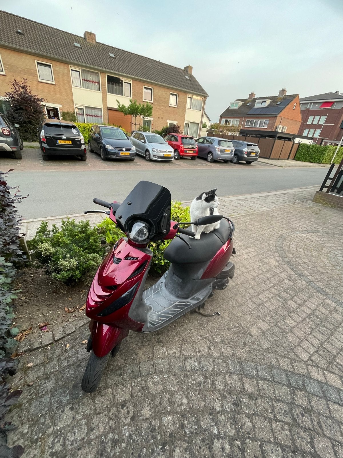 Piaggio zip 4 takt waardepijling, Ophalen, Zo goed als nieuw, Benzine, Zip