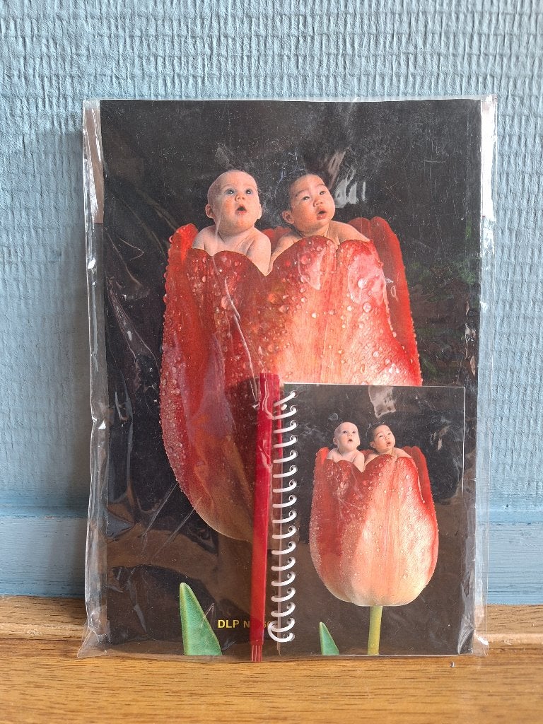 Note Book Set, Diversen, Ophalen of Verzenden, Nieuw