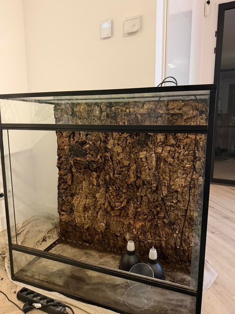 Paludarium 100x0.50x100 met sproeisysteem, Ophalen, Gebruikt, Terrarium of Paludarium