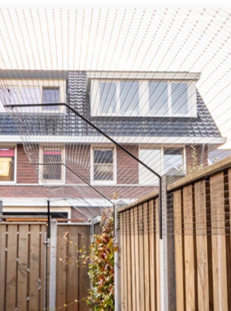 Kattenhaas met beugels, nieuw, Ophalen, Nieuw