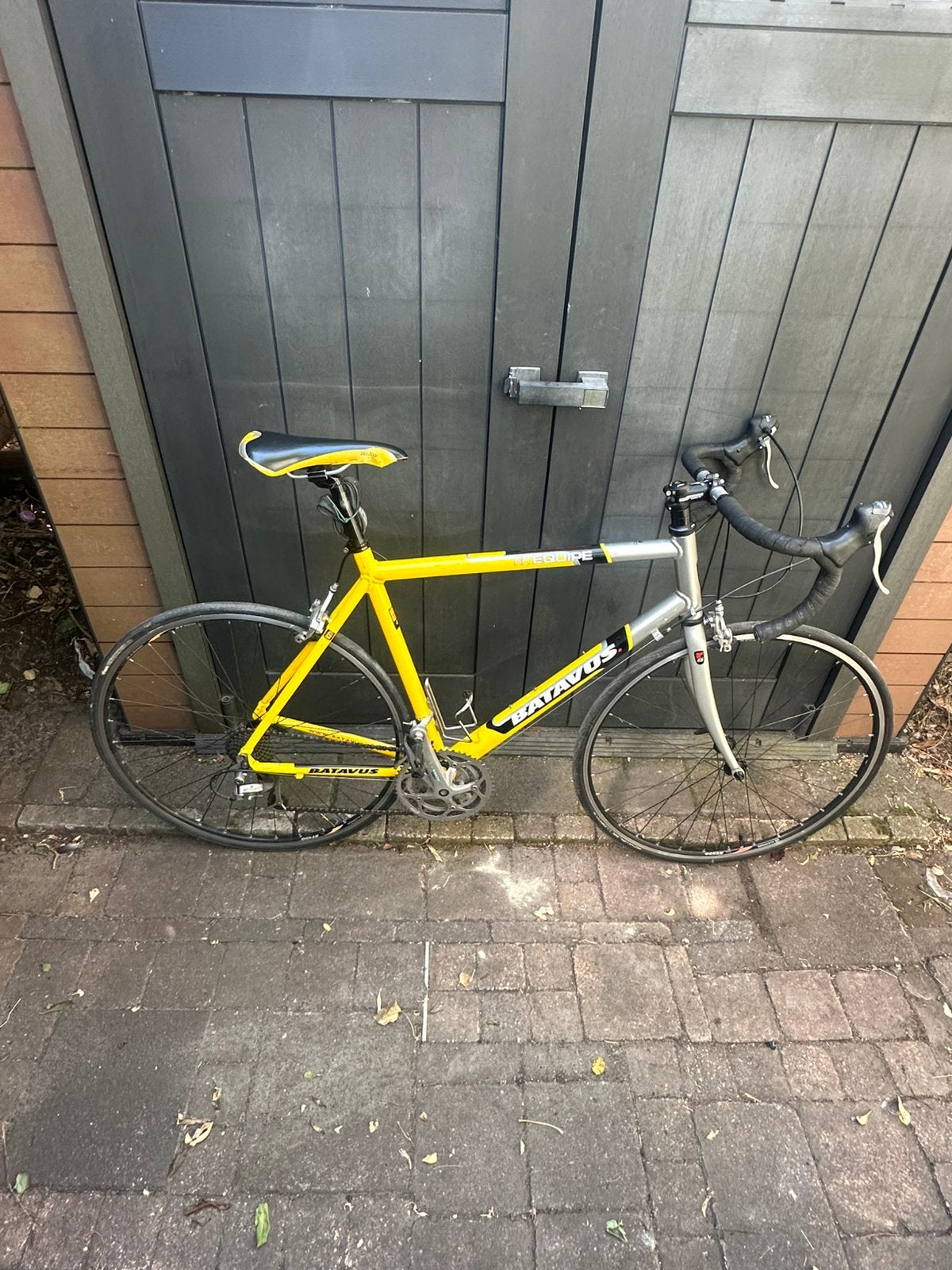 Batavus roadracer world series racefiets, Ophalen, Gebruikt, Batavus, Aluminium